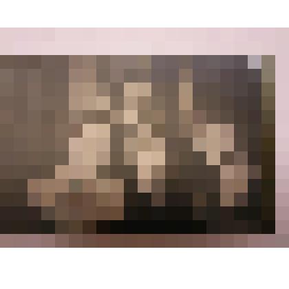 Фотография. Племянник и племянница И.П. Павлова - Ольга Дмитриевна и Александр Дмитриевич Андреевы