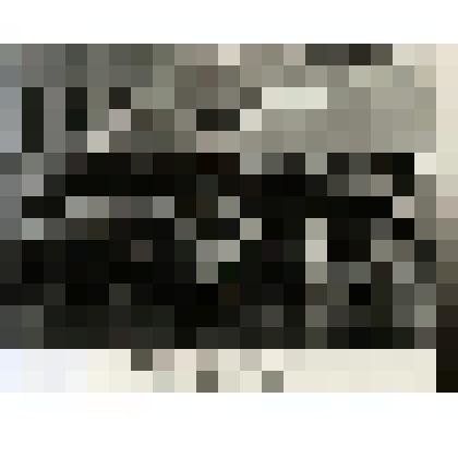 Фотография групповая. Костылева Пелагея Даниловна среди делегатов XV съезда профсоюзов СССР