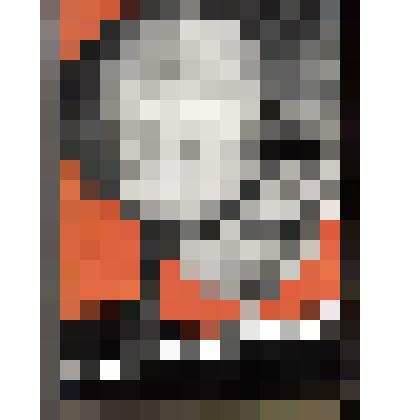 Книга. Швамбрания