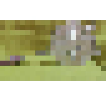 Форма для выпечки печенья