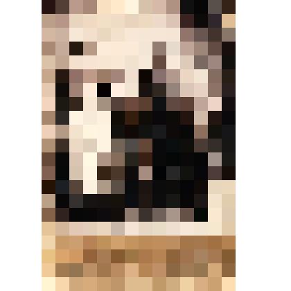 Фотография черно- белая семьи Беляковых (супруги художника 
Д.А. Трубникова)