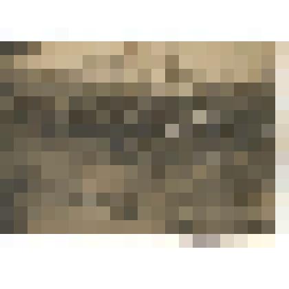 Фотография сюжетная. Празднование 1 Мая на площади г. Грайворона, 1929 г