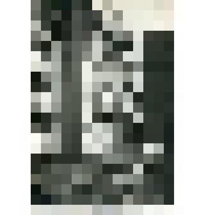 Фотография. Танковый отдел