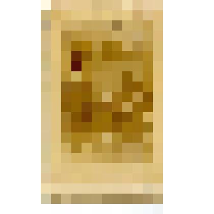 Групповой снимок. Казанцев А.И. сотник почти десятник Якутского казачьего полка, пятидесятник того же полка Безносов Ник.Ив. и  псаломщик Аргунов Инн.Семенович.1897г