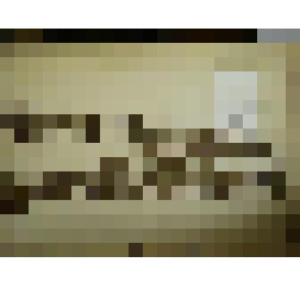 Гербарий. Зверобой четырехкрылый. Из гербария "Флора Ингрика"