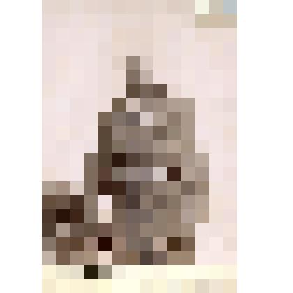 Фотография черно-белая. Н.Н.Ф[лейшер] (?)