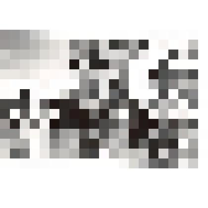 Фотография. Песня в исполнении районных артистов в день 125-летия со дня рождения             М. С. Крюковой. Дер. Нижняя Золотица