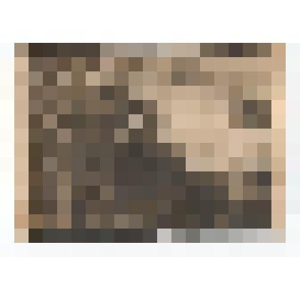 Ф/чб. Котенко Иван Матвеевич (1926 г.р. Терновский р-н), ефрейтор, стрелок 94-й отдельной разведывательной роты 82-й стрелковой дивизии (стоит у автомобиля). Германия. 1945