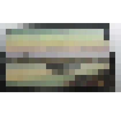 Картина "На Суре"