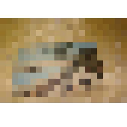 Открытка цветная «Грауденц» замок на горе