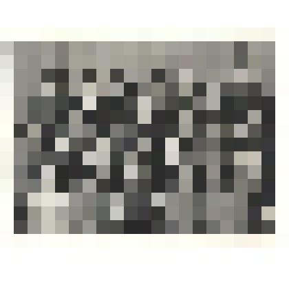 Фотографии. Фото. Надина Т.П. с учащимися пед.училища (в первом ряду третья справа)