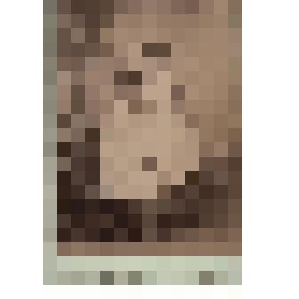 Лист 14. Фотография 2.
Миличка и Оля. из фотоальбома «Смольный 1895»