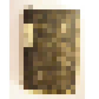 Владельческий конволют. Журнал ежемесячный литературно-исторический «Вестник иностранной литературы» сентябрь 1905 года. Один приплет - октябрь 1905 года.   / СПб.: тип.П.Ф. Пантелеева. 1905 год