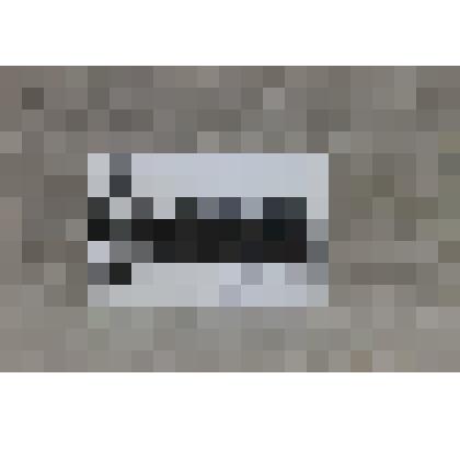 Фотография ч/б. Открытие памятника Е. Пылаевой