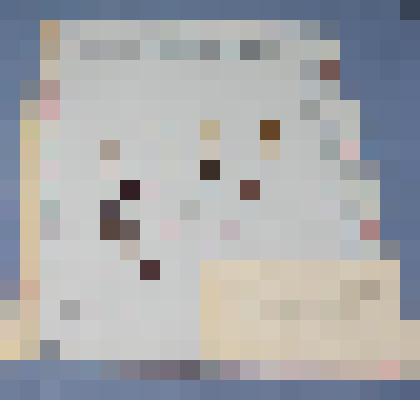 Ботаническая коллекция. Хвощ лесной, на гербарном листе. Eguisetaceae Eguisetum Syevaticum Z