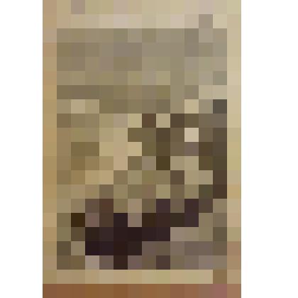 Книга. Победители бури [Text] / "Посредник" указан в объявлении. - М. : Издательство "Посредник" (№ 227), 1896 (Товарищество И.Д.Сытина)