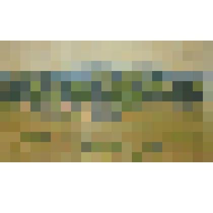 Картина. "Закат"