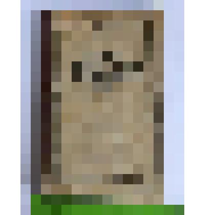 Книга. Буш В.В.  Очерки литературного  народничества 70-80 гг