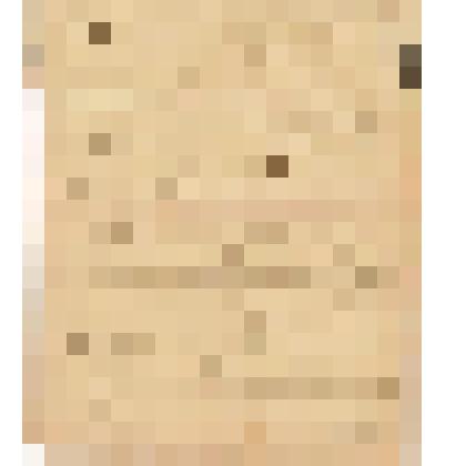 Телеграмма в Чердынь В.О.Алину от Еремеева из Перми, 22.04.1904 г