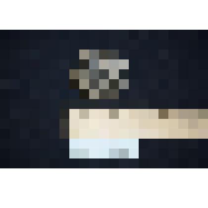 Раковина двустворчатого  моллюска.
Раковина двустворчатого моллюска