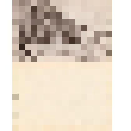 Почтовая карточка Passage du St Bernard (1800) «Переход через Сне-Бернар (1800)»