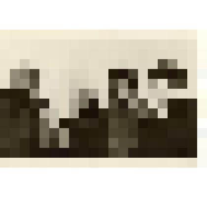 Фотография: бригада животноводов совхоза "Боровой" Каменского района Алтайского края. Слева направо: бригадир, доярка Зенина Мария Васильевна, скотник Бритвин Алексей Прокопьевич, дояр Панкрахин Владимир Иванович