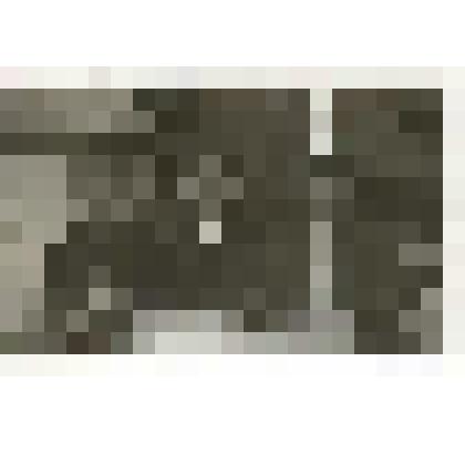 Фотография. Работники Таркосалинского аэропорта: Васильев А.С., Антипина А.Г., Ширшиков П