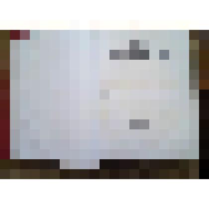 Книга «Живописная Россия», том 1, ч.1