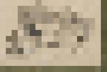 Шалаш у опушки леса