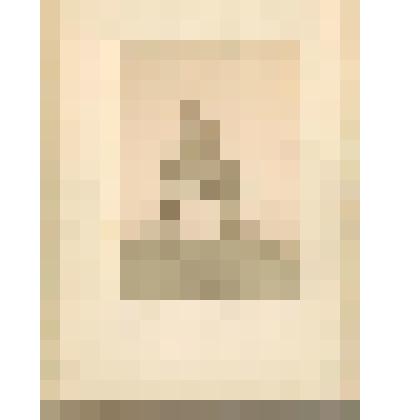 Фотография черно-белая. Арка цесаревича Николая