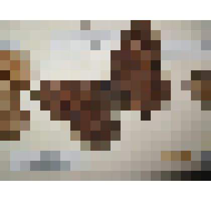 Сатир дриада тёмная. Бабочка. Из коллекции