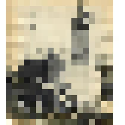 Фото. Выступление 1 секретаря РК КПСС Максютова во время открытия бюста Азанову А.А