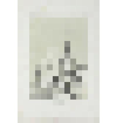 Литография. "Москва. Святые ворота. Центральный вход в Кремль."