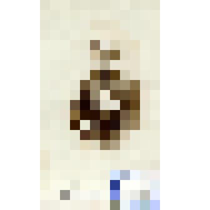 Фотография черно-белая. Рамм I-й Адольф Николаевич