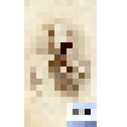 Фотография черно-белая. Император Александр Николаевич