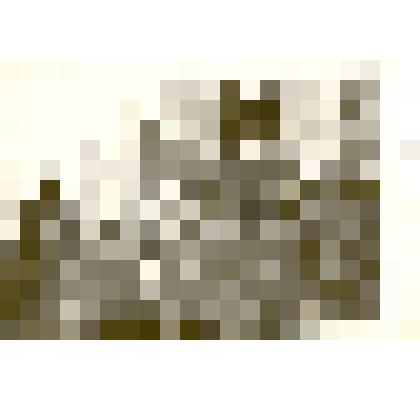 Фотография: колонна учащихся СПТУ-19 г.Камень-на-Оби на демонстрации 7 ноября 1969 года