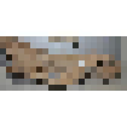 Череп шерстистого носорога. Ок. 30-20 тыс. лет назад