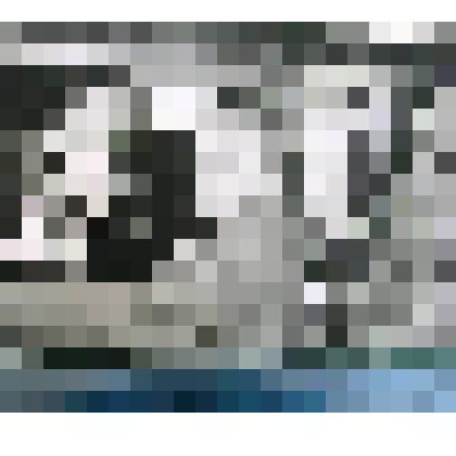 Фотография." Е.С. Савченко, глава администрации Белгородской области."