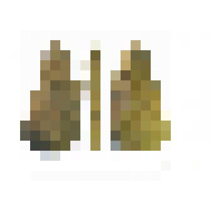 Остроконечник