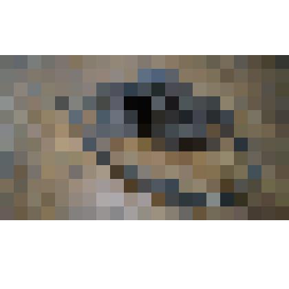 Седелка для лошади