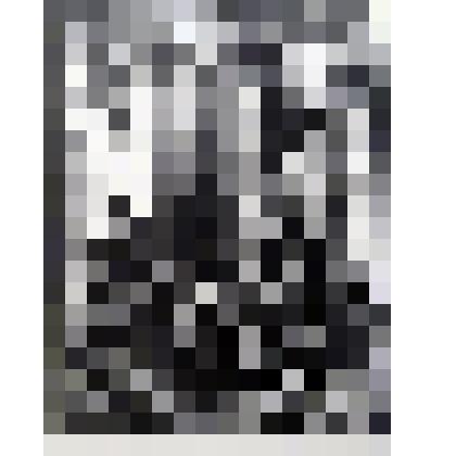 Идея Раскольникова