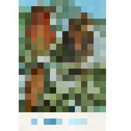 Открытка поздравительная "С Новым годом!", фото Г.Смирнова