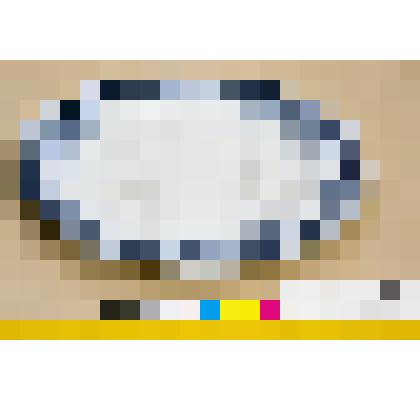 Тарелка мелкая обеденная фаянсовая белая, со смешанным орнаментом синего цвета, из столового сервиза "Lima"