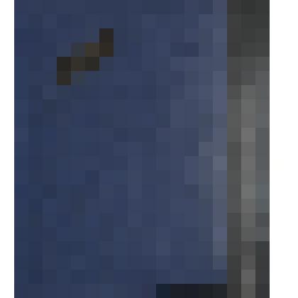 Диплом ll степени Голых Константина Семеновича