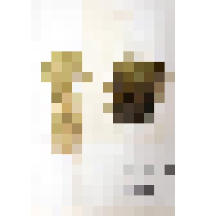 Гербарий
Мхи