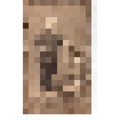 Ф/чб/п. Зиновьев И.Е. в детстве. Липецк. Фот. Л. Цаплин. ~ 1910