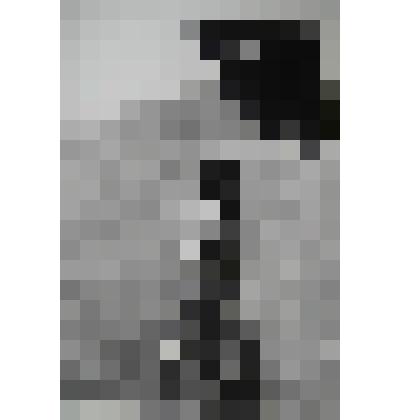 Фотография. "Труженики моря"