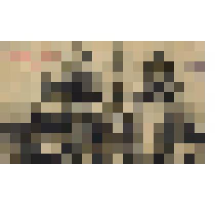 Почтовая открытка "Барчалинские армяне. Кавказкие типы"