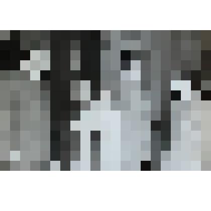 Фотография. Сюжетная. Встреча – обмен опытом между колхозом им. Крупской и колхозом «Победа»