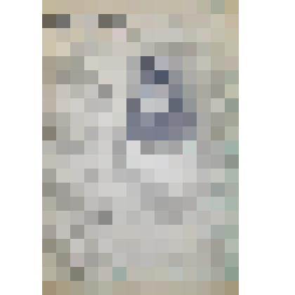 Газета "За Сталинский урожай" № 2 от 10 января 1952 года